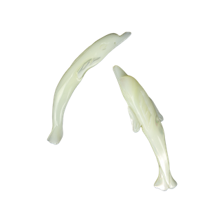 SHELL BEAD - TROCHUS - DOLPHIN CARVED 50MM (DOZ)