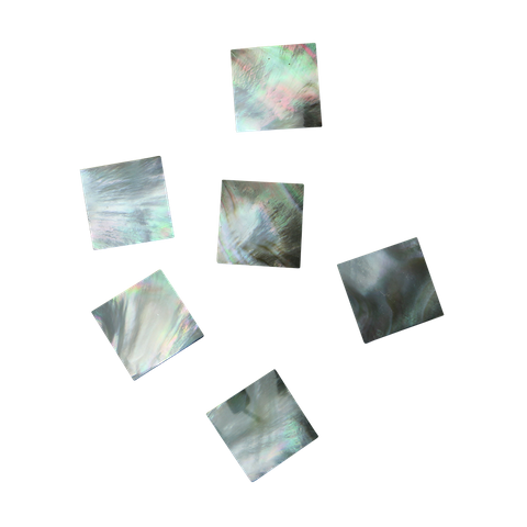 Black Mother of Pearl - Square - Flat, Clean Back, Polished 2 Sides