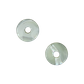 Shell Bead - Trochus - Donut