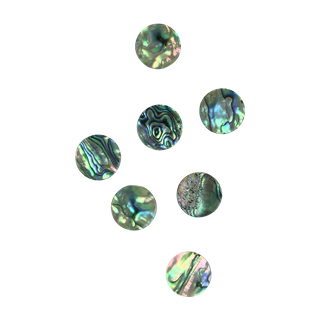 SHELL BLANK PAUA - CIRCLE - NATURAL CURVE, CLEAN BACK, TUMBLED POLISHED - 25MM [40L] (DOZ)