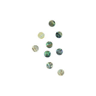 SHELL BLANK PAUA - CIRCLE - NATURAL CURVE, GROUND BACK, TUMBLED POLISHED - 12.5MM [20L] (DOZ)