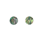 SHELL BLANK PAUA - CIRCLE - NATURAL CURVE, GROUND BACK, TUMBLED POLISHED - 15MM [24L] (DOZ)