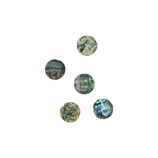 SHELL BLANK PAUA - CIRCLE - NATURAL CURVE, GROUND BACK, TUMBLED POLISHED - 22.5MM [36L] (DOZ)