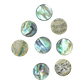 SHELL BLANK PAUA - CIRCLE - NATURAL CURVE, GROUND BACK, TUMBLED POLISHED - 35MM [55L] (DOZ)