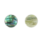 SHELL BLANK PAUA - CIRCLE - NATURAL CURVE, GROUND BACK, TUMBLED POLISHED - 35MM [55L] (DOZ)
