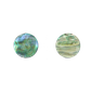 SHELL BLANK PAUA - CIRCLE - NATURAL CURVE, GROUND BACK, TUMBLED POLISHED - 32MM [50L] (DOZ)