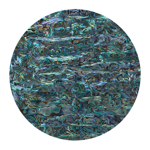 NZ Abalone Paua Shell Natural - Matt Coated