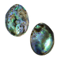 NZ Abalone Paua Gem - Buffed