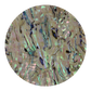 Uncoated NZ Abalone Paua Shell Light