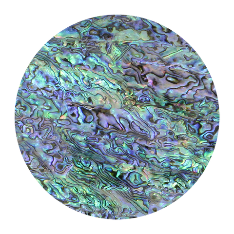Uncoated NZ Abalone Paua Shell Natural