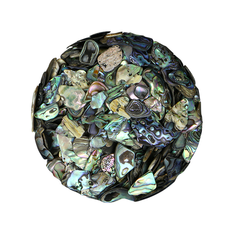 NZ Abalone Paua Shell - Satin - Fines 5-15mm