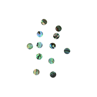 SHELL BLANK PAUA - CIRCLE - FLAT, CLEAN BACK, NOT POLISHED - 8*1.3MM (DOZ)