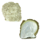 NATURAL SHELL - GOLD MOP - GRADE A - FLAT SIDE