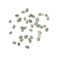 NATURAL SHELL - JUVENILE PAUA - FARMED