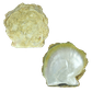 NATURAL SHELL - GOLD MOP - GRADE B