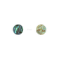 SHELL BLANK PAUA - CIRCLE - NATURAL CURVE, GROUND BACK, TUMBLED POLISHED - 12MM (DOZ)