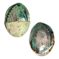 NZ Abalone Paua - Polished half/half