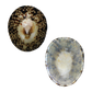 POLISHED SHELL - LIMPET