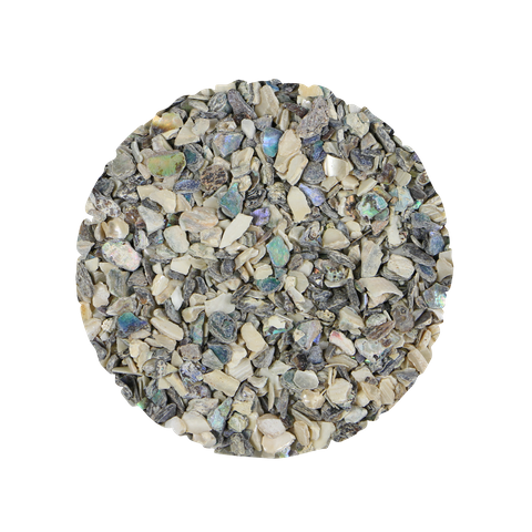 NZ Abalone & African Abalone Mix - Chip