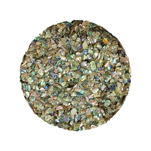 NZ Abalone Paua Shell - Chip - 3-5mm