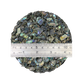 SHELL TERRAZZO CHIP - PAUA - CRUSHED RIM - 1 KG