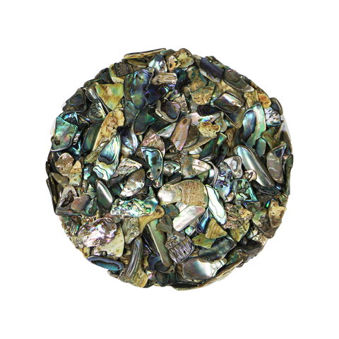 NZ Abalone Paua Shell - Chunky - Small 5-15mm