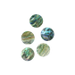 SHELL BLANK PAUA - CIRCLE - NATURAL CURVE, GROUND BACK, TUMBLED POLISHED - 32MM [50L] (DOZ)