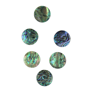 SHELL BLANK PAUA - CIRCLE - NATURAL CURVE, CLEAN BACK, TUMBLED POLISHED - 30.6MM [48L] (DOZ)