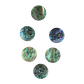 SHELL BLANK PAUA - CIRCLE - NATURAL CURVE, CLEAN BACK, TUMBLED POLISHED - 30.6MM [48L] (DOZ)