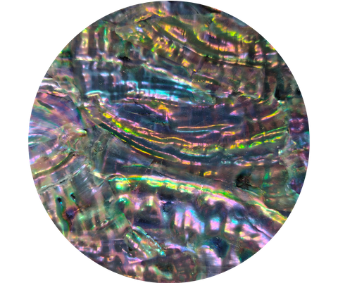 Korean Abalone Grey Metallic