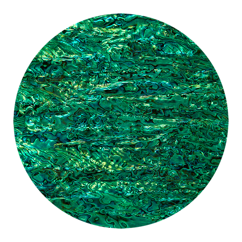 NZ Abalone Paua Shell Emerald Green