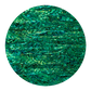 NZ Abalone Paua Shell Emerald Green