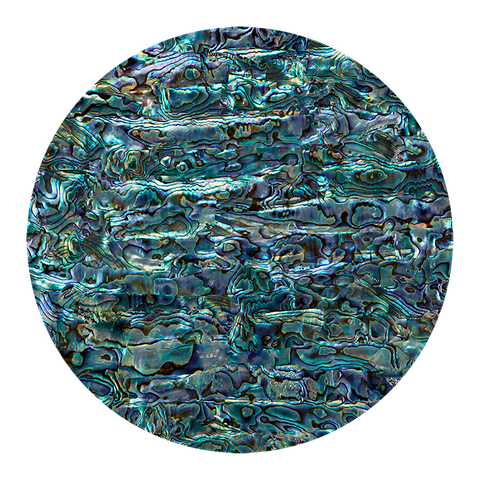 NZ Abalone Paua Shell Natural