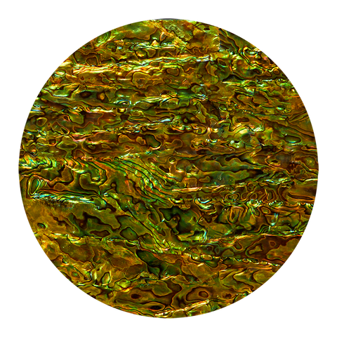 SHELL VENEER COATED - PAUA PERIDOT GREEN - 200*200MM