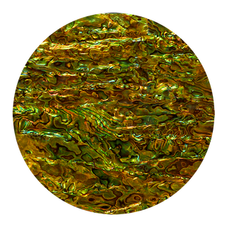 SHELL VENEER COATED - PAUA PERIDOT GREEN - 230*130MM