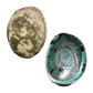 NZ Abalone Paua - Natural - Jewellery Making