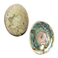NZ Abalone Paua - Natural - Jewellery Making