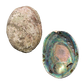 NZ Abalone Paua - Natural - Jewellery Making
