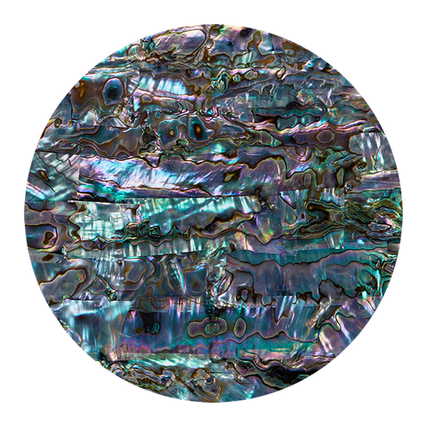 Mexican Abalone Green Ripple