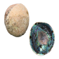 NZ Abalone Paua - Natural - Jewellery Making - Handselected Blue Colour