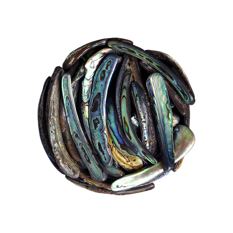 NZ Abalone Paua Shell - Rims Satin - Medium 40-80mm