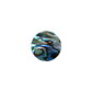 NZ Abalone Paua Shell Shape Circle