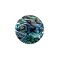 NZ Abalone Paua Shell Shape Circle