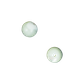 Shell Bead - Trochus - Round