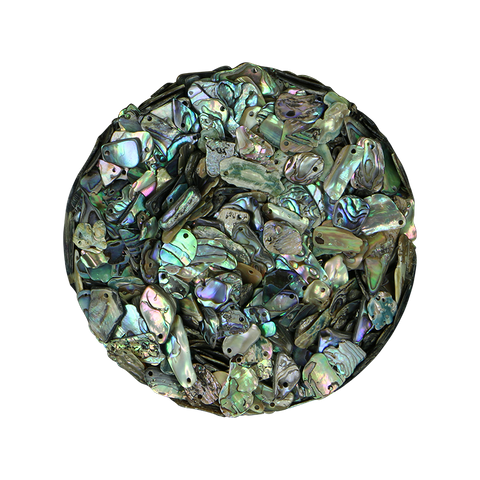 NZ Abalone Paua - Gloss drilled - Fines 5-15mm