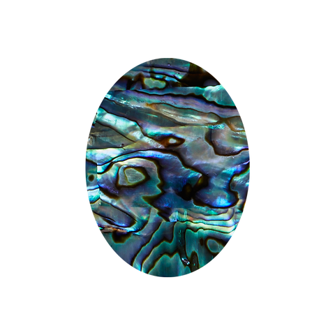 NZ Abalone Paua Shell Shape Oval