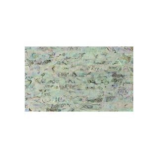 SHELL COMPOSITE UNCOATED - MEXICAN ABALONE - 140*240*1.5MM - 5 PLY MEDIUM