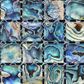 SOLID SHELL MOSAIC TILE - PAUA NATURAL SQUARE - 15*15MM/305*305MM