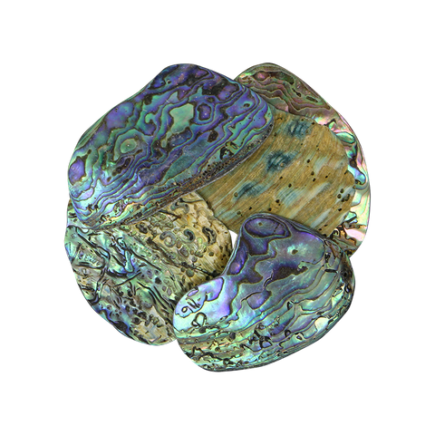 NZ Abalone Paua Shell - Satin - Large 40-65mm