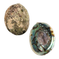 NZ Abalone Paua - Natural - Jewellery Making